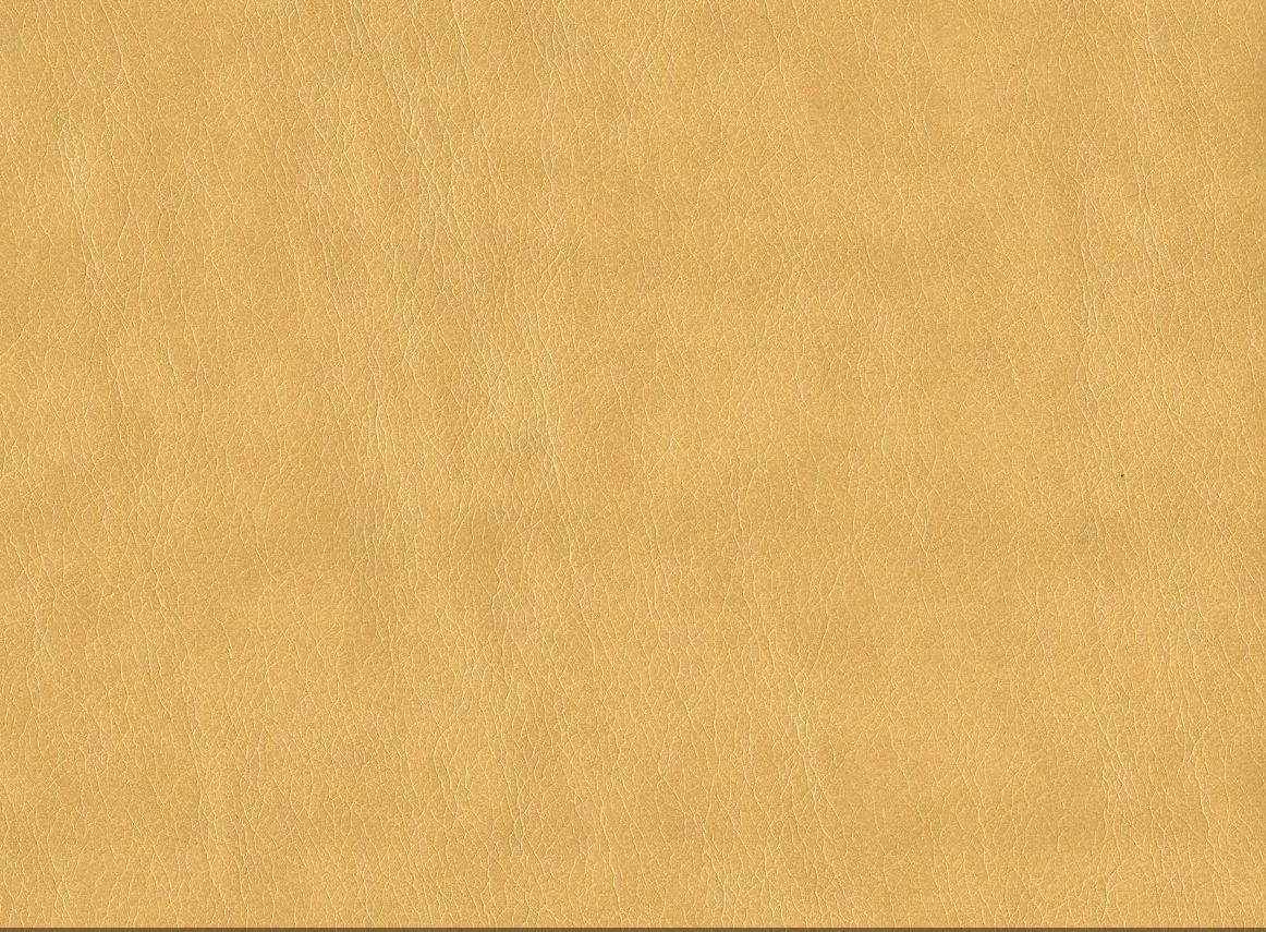 Родео_01